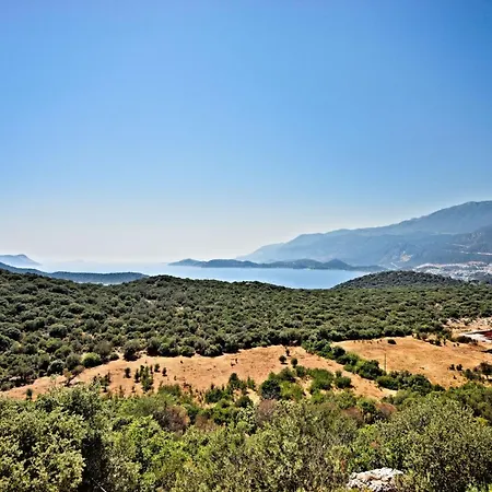 Отель Stonehillkas 3*