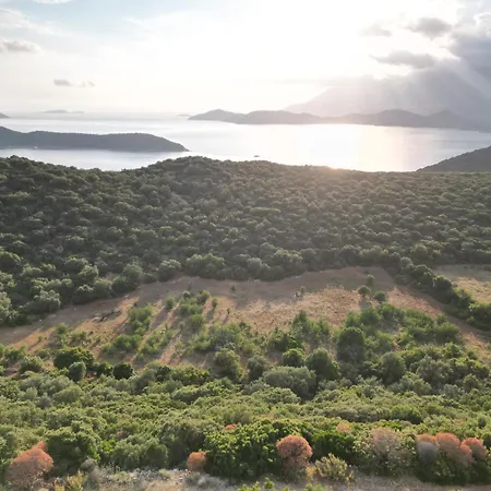 Stonehillkas Kaş
